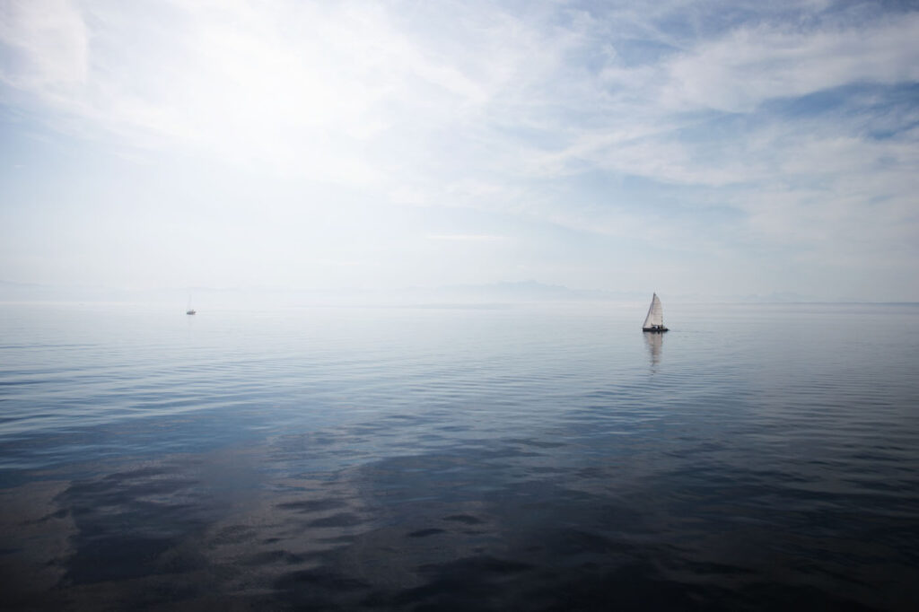 Land_2637_3