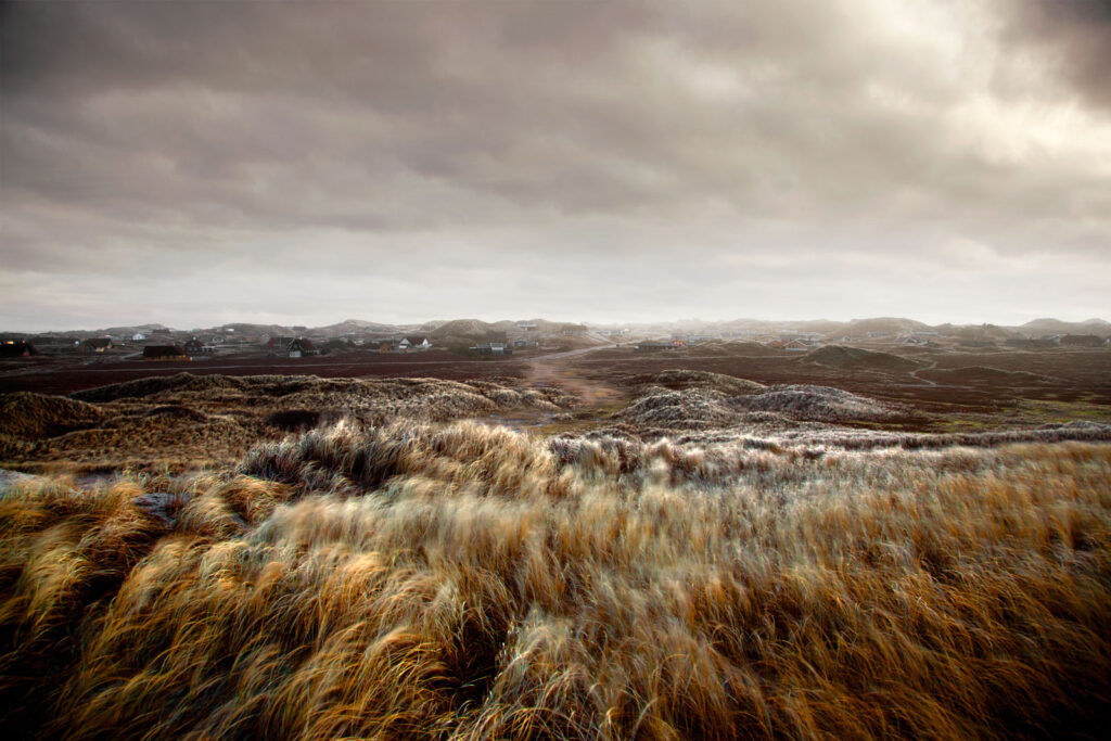 Land_5160-7