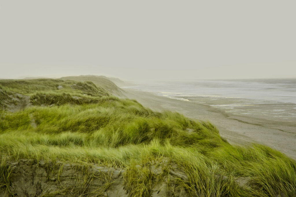 Land_5191_4